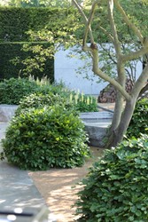 Tuinen Engeland 
The Laurent-Perrier Garden
Design: Luciano Giubbilei
Chelsea Flower Show2014
