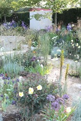 Tuinen Engeland 
M&amp;G Garden
Design: Cleve West
Chelsea Flower Show2014