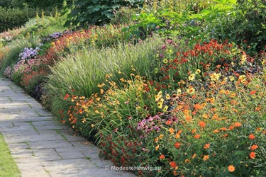 Tuinen Engeland 
Borders kleuren: geel-oranje-rood 
Dahlia, Echinacea, Crocosmia, Cuphea llavea, Cosmos sulphureus
Wisley Gardens
overig
Copyright Modeste Herwig