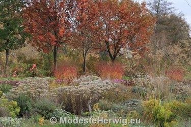 Tuinen Duitsland 
Herfstkleuren 
Weihenstephan
overig
Copyright Modeste Herwig
