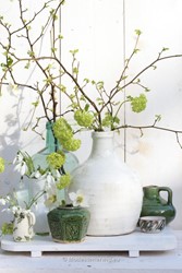 Bloemwerk 
Voorjaarsstuk in wit en groen 
Galanthus, Helleborus, Viburnum
Marieke Nolsen
overig
Copyright Modeste Herwig
