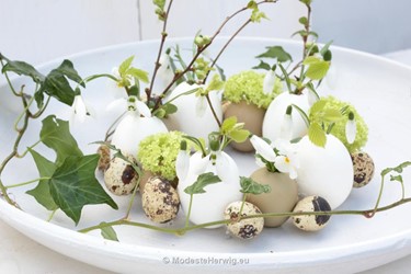 Bloemwerk 
Paasstuk met eieren 
Viburnum, Galanthus, Viola
Marieke Nolsen
overig
Copyright Modeste Herwig
