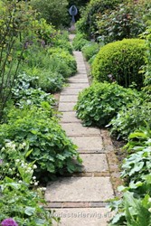 Tuinen Engeland 
Alchemilla, Buxus
Pad van betontegels en klinkers 
Old Bladbean Stud Gardens
overig
Copyright Modeste Herwig