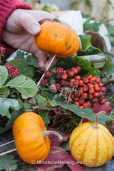 Bloemwerk: herfst 
Krans met mais 
Helianthus annuus, Zea mays, Rubus, Quercus, Pyrus, bessen, Cucurbita
Styling: Anneke Beemer