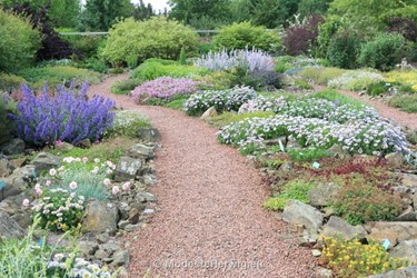 Tuinen Engeland 
Gravel garden
Breezy Knees Garden
Garden features
Copyright Modeste Herwig