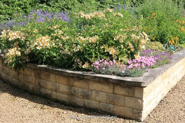 Tuinen Engeland 
Verhoogd plantvak 
Alstroemeria
Breezy Knees Garden
Garden features
Copyright Modeste Herwig