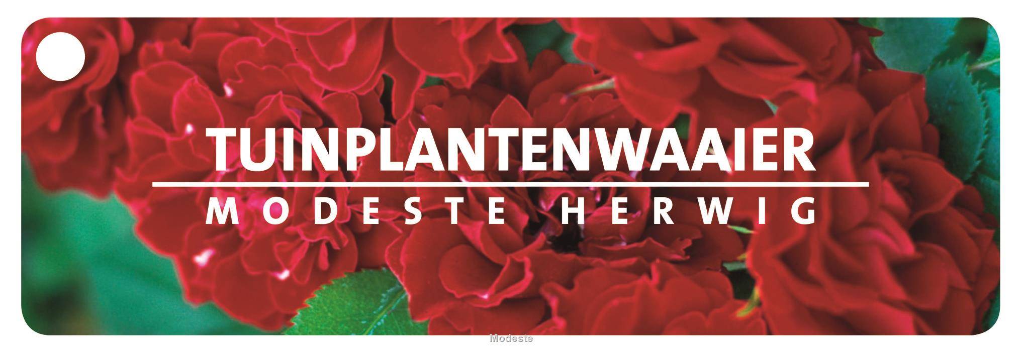 Tuinboek 1 (13)