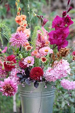 Bloemen pluktuin